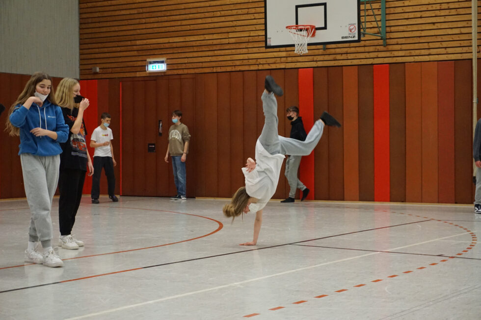 Französischer der 8. und 9. Klassen Schiller