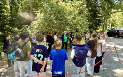 Rückblick auf die Projekttage der Klassenstufe 5